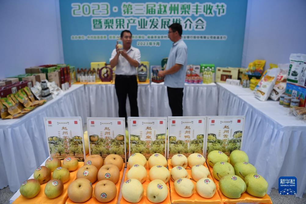 世爵登录地址6